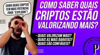 Como saber QUAIS CRIPTOMOEDAS estão VALORIZANDO MAIS (Criptos bombando!) Aula sobre COINMARKETCAP