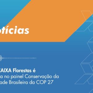 CAIXA Florestas é apresentada na COP 27